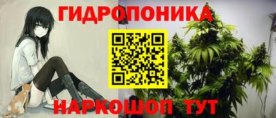 соль ск Краснодар