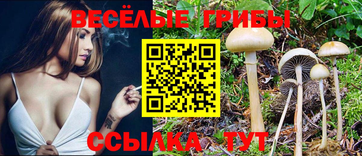 Галлюциногенные грибы ЛСД  Псилоцибиновые грибы MAGIC MUSHROOMS  Калининград  наркота  Вход с VPN 