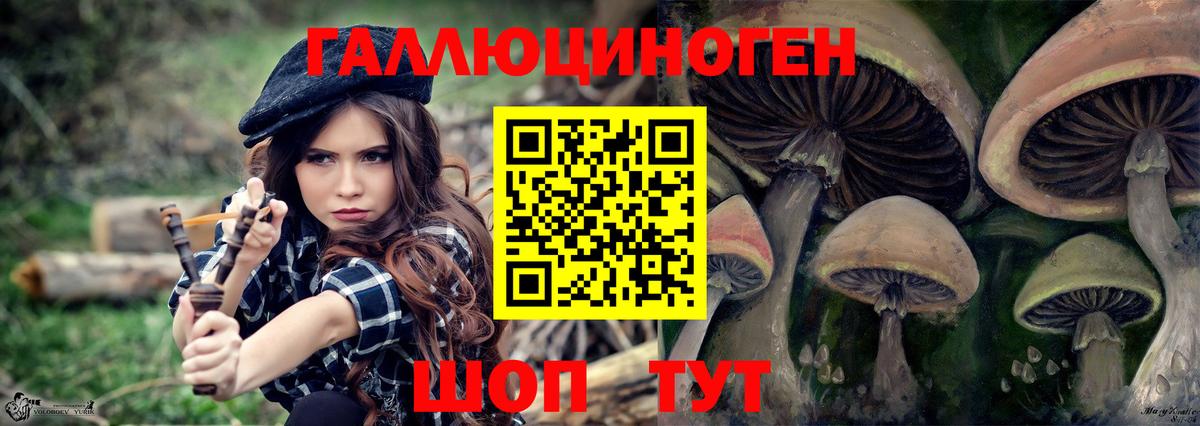 Галлюциногенные грибы мухоморы Калининград